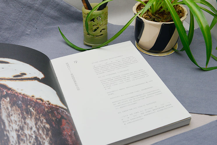 博雅文化-精装画册